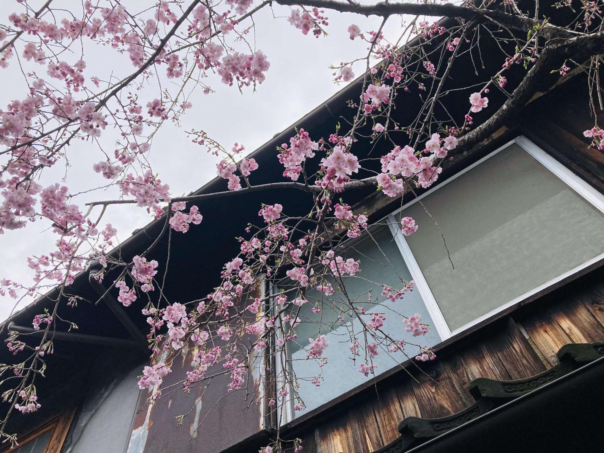 怀古庵公寓 京都 外观 照片